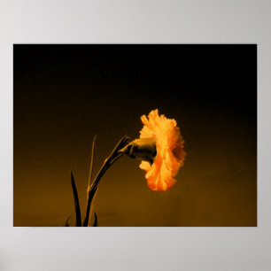 Póster clavel