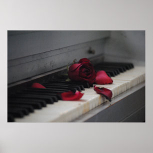 Póster Claves de piano con una rosa roja