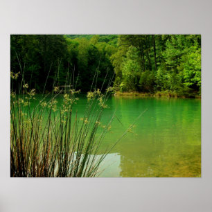 Póster Clear Lake
