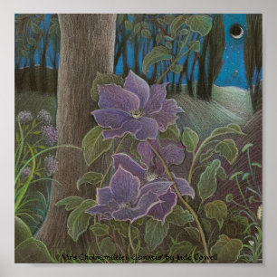 Póster 'Clematis de señora Cholmondeley por Moonlight