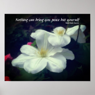 Póster Clematis Flower Peace Cita Inspiradora