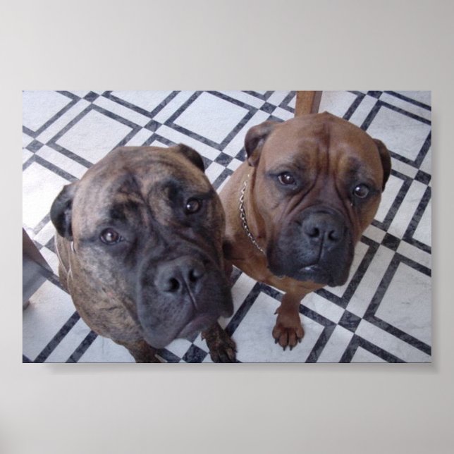 Póster Cleo y Luna (Frente)