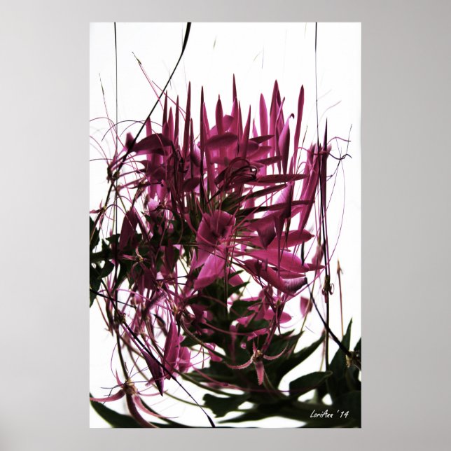 Póster Clérigo de Contrived (Frente)