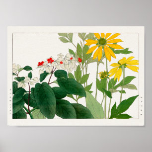 Póster Clerodendrum thomsoniae, Rudbeckia, Tanigami Konan