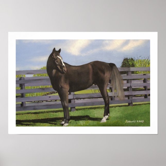 PÓSTER CLIENTE (Frente)