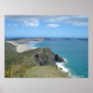 Póster Cliff at Cape Reinga, NZ, Photograph by LMP