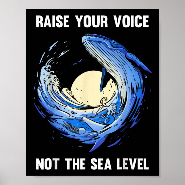 Póster Clima de protección ambiental en los mares de ball (Frente)