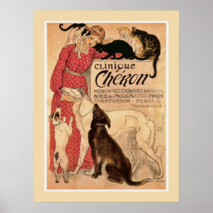 Póster Clínica de Cheron