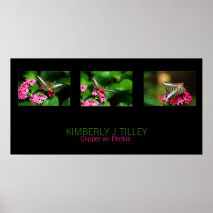 Póster Clipper on Pentas Landscape Print