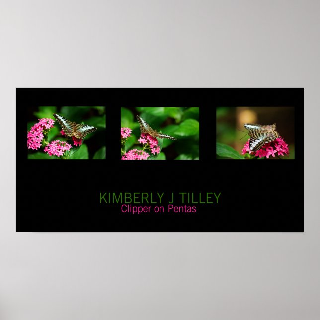 Póster Clipper on Pentas Landscape Print (Frente)