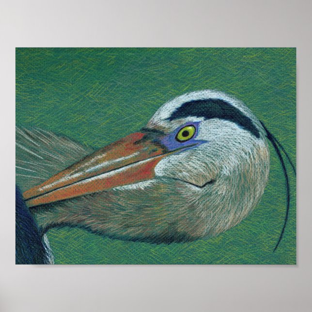 Póster Close up Heron (Frente)