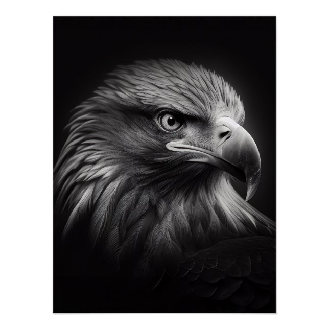 Póster Close-up moody portrait of eagle's face (Anverso)