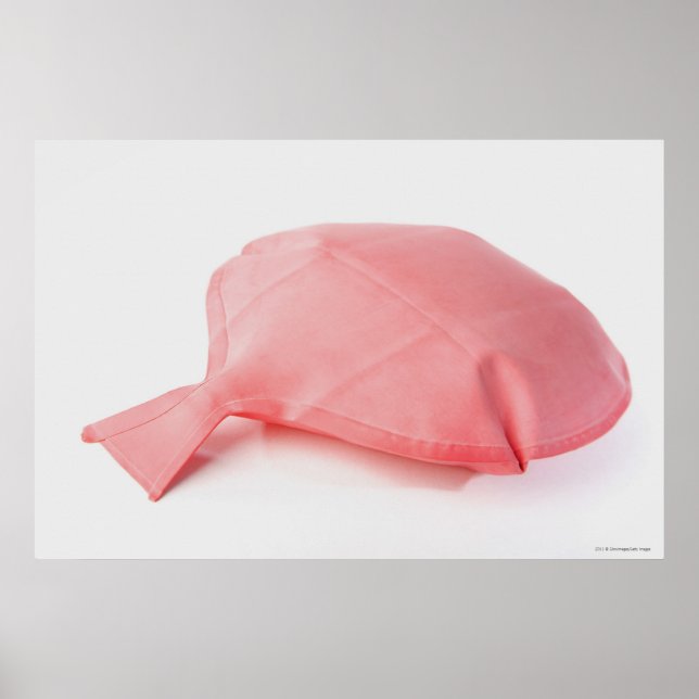 Póster Close-up of a whoopee cushion (Frente)