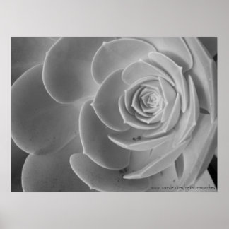 Póster Close-Up Poster