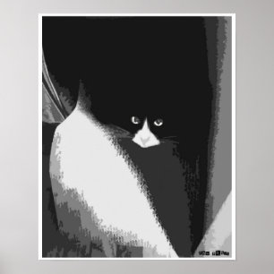 Póster Closet Cat