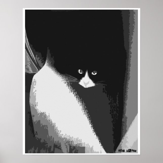 Póster Closet Cat (Frente)