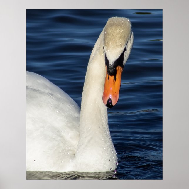 Póster Closeup (Frente)