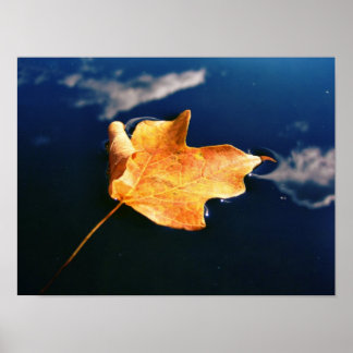 Póster cloud dancer (auto sized)