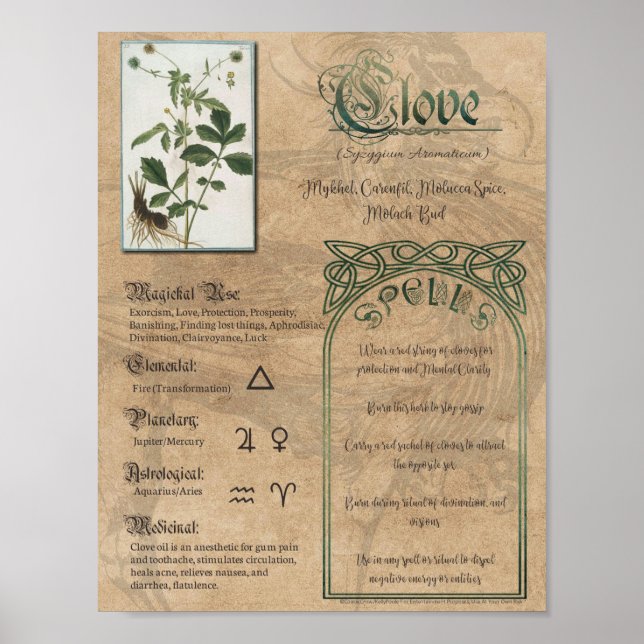 Póster Clove Herbal Book of Shadows Pagan Wiccan (Frente)