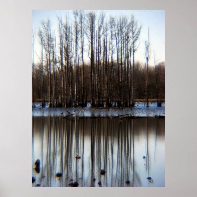 Póster Clúster (Frente)