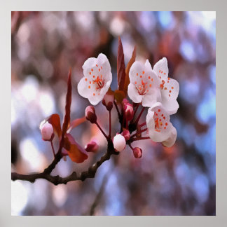 Póster Clúster con flores de cerezo con rosa y azul
