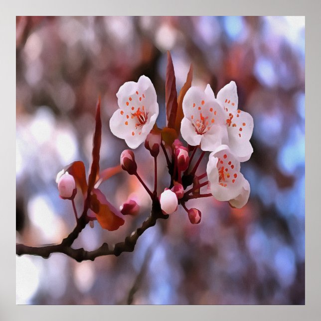 Póster Clúster con flores de cerezo con rosa y azul (Frente)