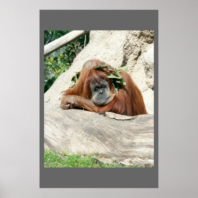 Póster Clyde (Frente)