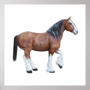 Póster Clydesdale 3