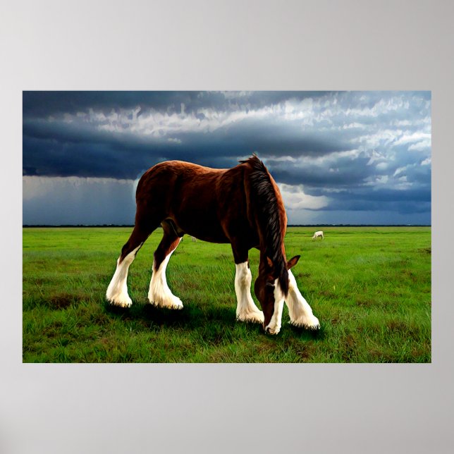 Póster Clydesdale Storm (Frente)