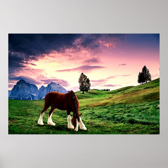 Póster Clydesdale Sunset (Frente)