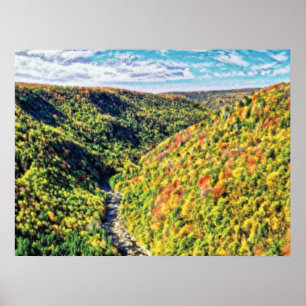 Póster Cmyk del aceite de la cerda de la profundidad 70