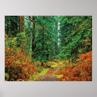 Póster Cmyk del otoño 31