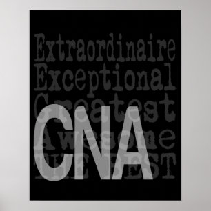 Póster CNA Extraordinaire