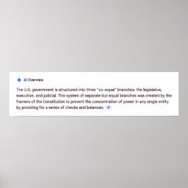 Póster Co-Equal Branches of Government Poster