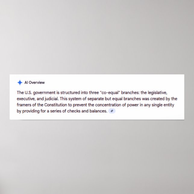 Póster Co-Equal Branches of Government Poster (Frente)