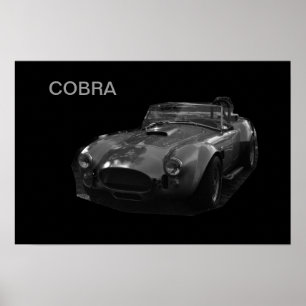 PÓSTER COBRA
