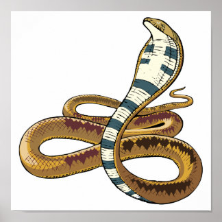 Póster cobra