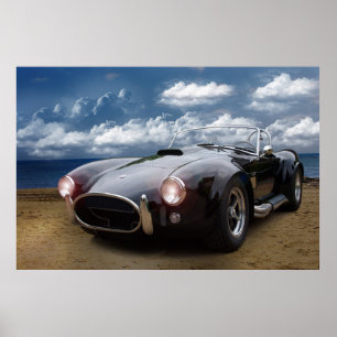 Póster Cobra Classic