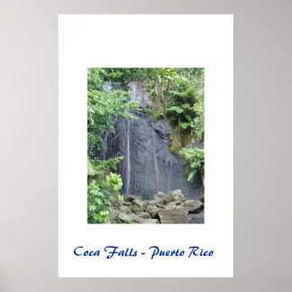 Póster Coca Falls - Puerto Rico Poster
