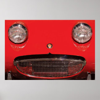 Póster Coche - ¡Di queso!