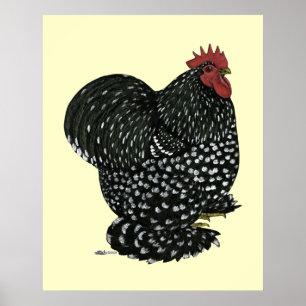 Póster Cochin: Black Mottle