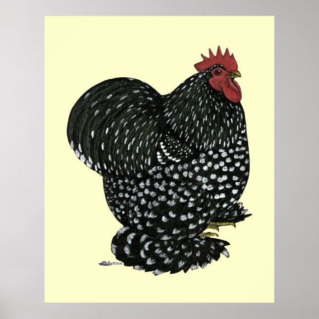 Póster Cochin: Black Mottle (Frente)