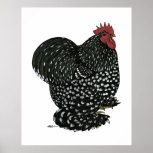 Póster Cochin: Black Mottle