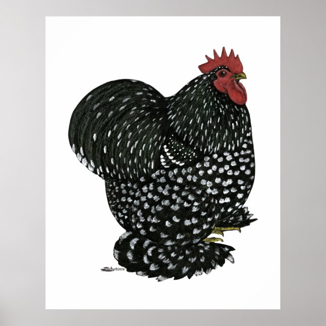 Póster Cochin: Black Mottle (Frente)