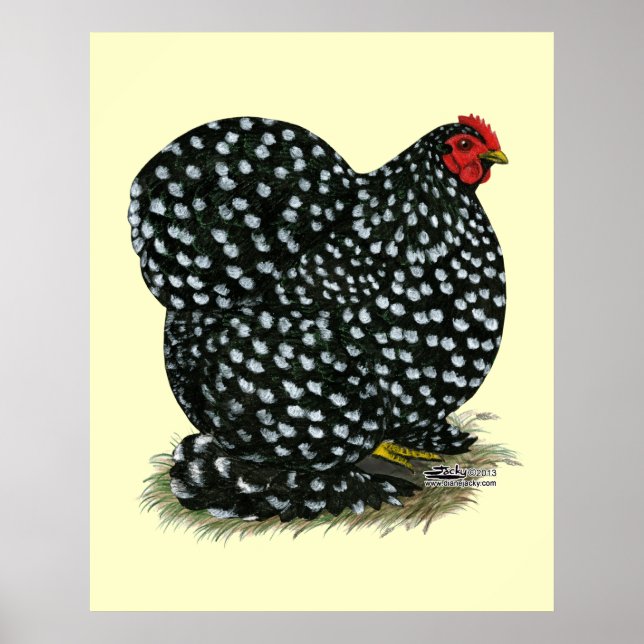 Póster Cochin Mottled Hen (Frente)