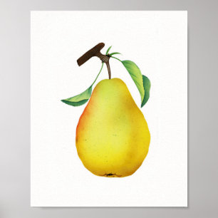 Póster Cocina de frutas Bartlett Juicy Pear