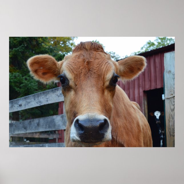 Póster Cocina de vaca (Frente)