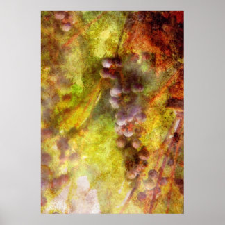 Póster Cocina - Vino - Uvas