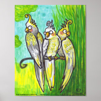 Póster Cockatiels 3 Personalizados Aves de baja calza mas