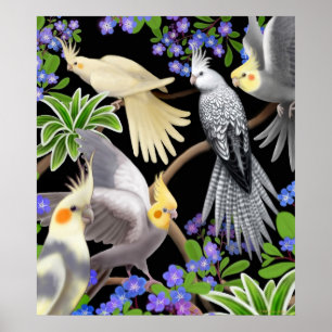 Póster Cockatiels y poster de las nomeolvides